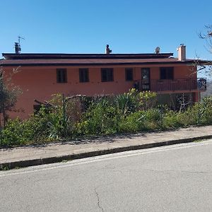Immersi nella natura